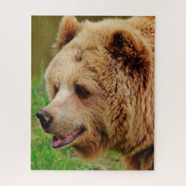 Puzzle Osos Marrones Salvajes.