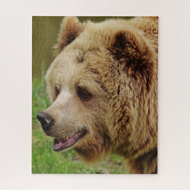 Puzzle Osos Marrones Salvajes. (Vertical)