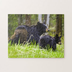 Puzzle Osos negros Montana.