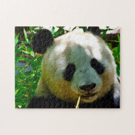 Puzzle Osos Panda.