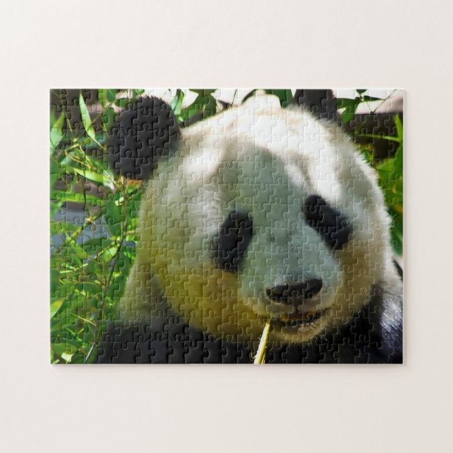 Puzzle Osos Panda. (Horizontal)