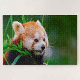 Puzzle Osos Panda Rojos.
