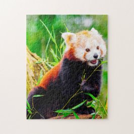 Puzzle Osos Panda Rojos.