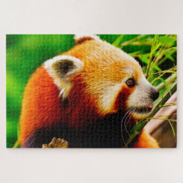 Puzzle Osos Panda Rojos.