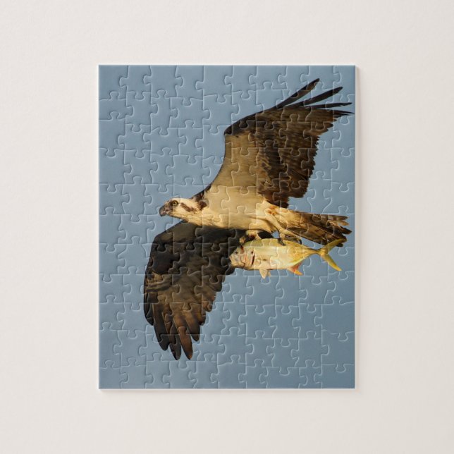 Puzzle Osprey (Vertical)