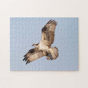 Puzzle Osprey con un pez