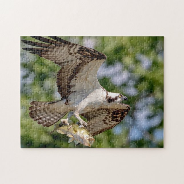 Puzzle Osprey con una gran boquilla (Horizontal)