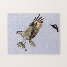Puzzle Osprey siendo perseguido por un pájaro anaranjado 