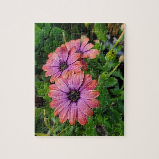 Puzzle Osteospurmum (Vertical)