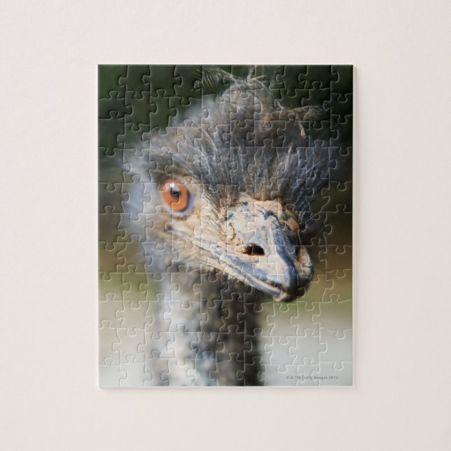 Puzzle Ostrich (Vertical)