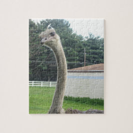 Puzzle Ostrich