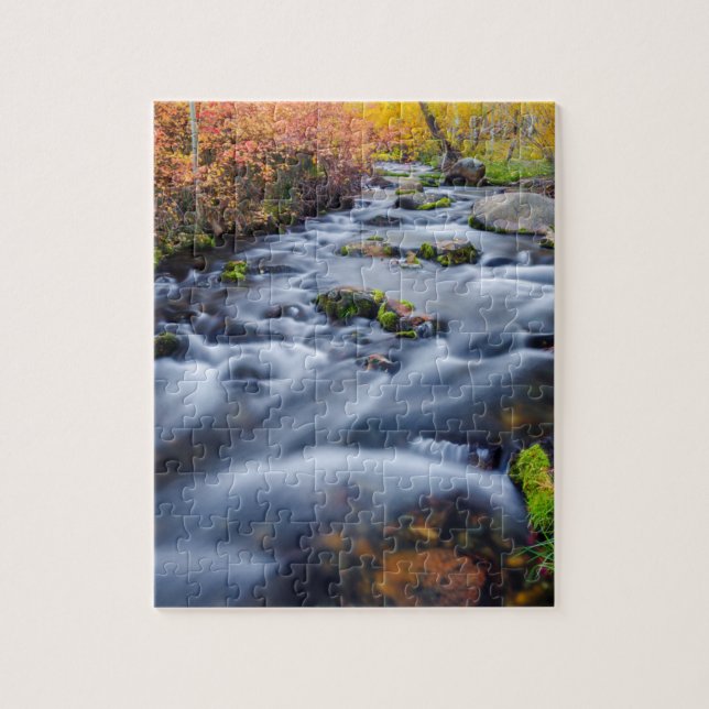 Puzzle Otoño a lo largo de Lundy Creek, California (Vertical)