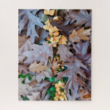 Otoño con hongos amarillos y hojas caídas marrones
