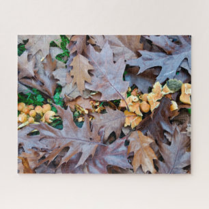 Puzzle Otoño con hongos amarillos y hojas caídas marrones