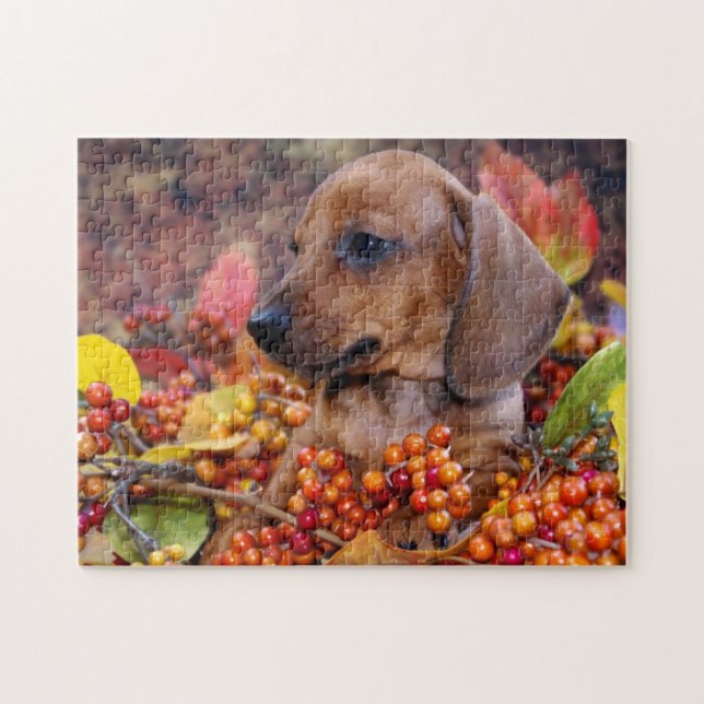 Puzzle Otoño Dachshund Puppy (Horizontal)