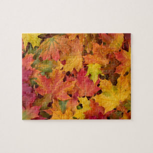 Puzzle Otoño deja la familia de colores de otoño divers