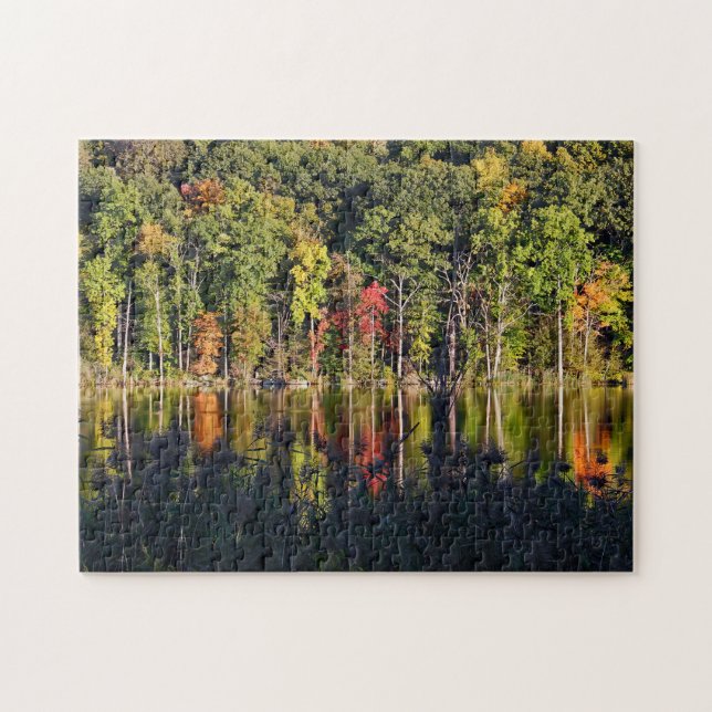 Puzzle Otoño En Beardsley Pond (Horizontal)