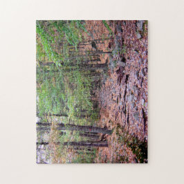 Puzzle Otoño en Blue Hills Reserva Red Dot Trail
