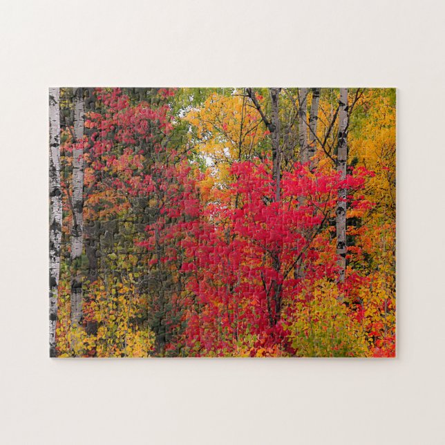 Puzzle Otoño en Canadá. (Horizontal)