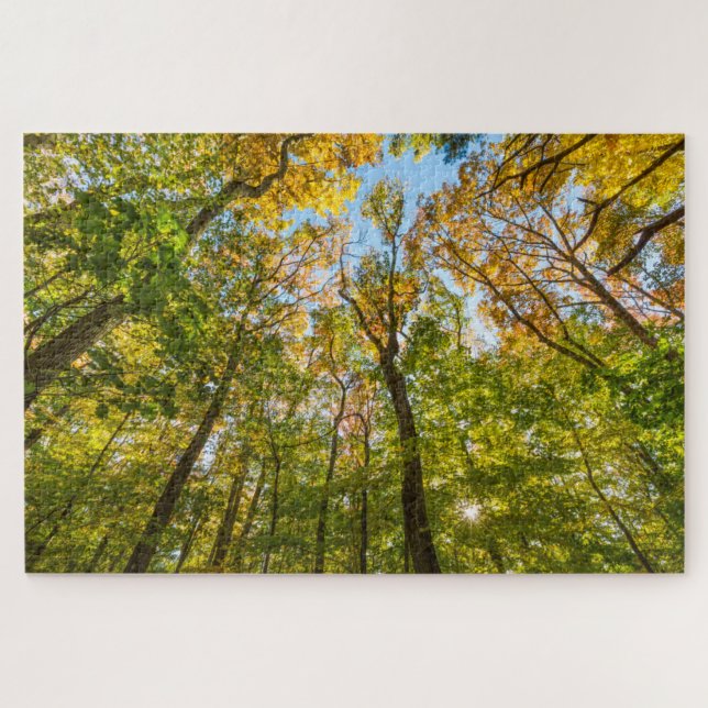 Puzzle Otoño en un bosque en Amesbury, Massachusetts (Horizontal)