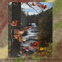 Otoño fotográfico de la cascada de Carolina del No