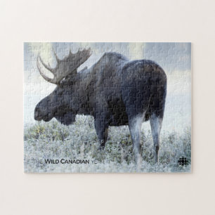 Puzzle Otoño - Moose