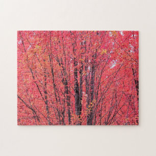 Puzzle Otoño Rojo - Árboles caídos