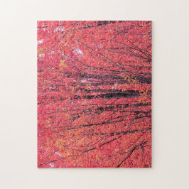 Puzzle Otoño Rojo - Árboles caídos