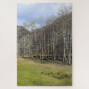 Puzzle Otoño temprano junto al río - Wild Nature Rumania