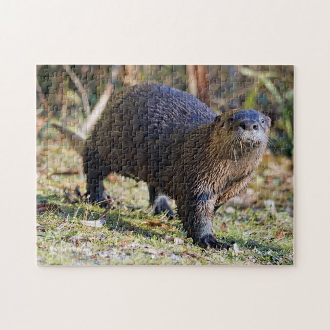 Puzzle Otter fluvial divertida fuera de la laguna Water S (Horizontal)