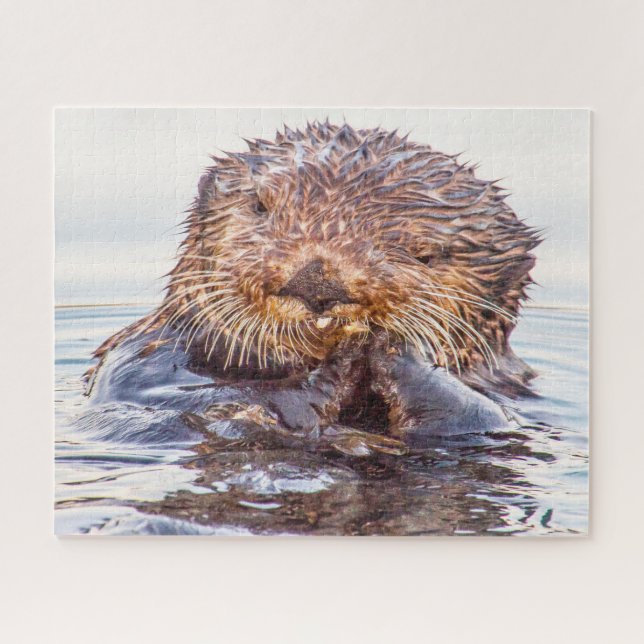 Puzzle Otter marino (Horizontal)