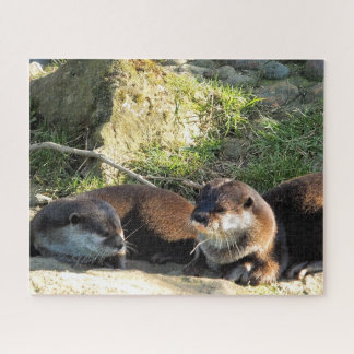 PUZZLE OTTERS