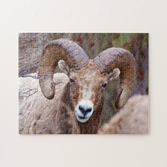 Puzzle Oveja Bighorn de Montaña Rocosa (Horizontal)
