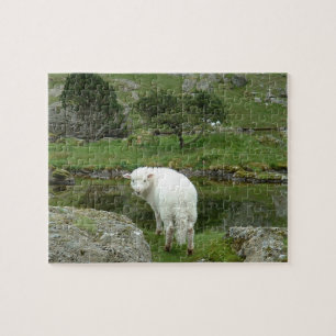 Puzzle Oveja blanca, Gales y campiña británica
