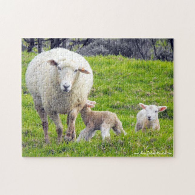 Puzzle Oveja Con Dos Lambres (Horizontal)