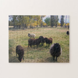 Puzzle Oveja en la pastura