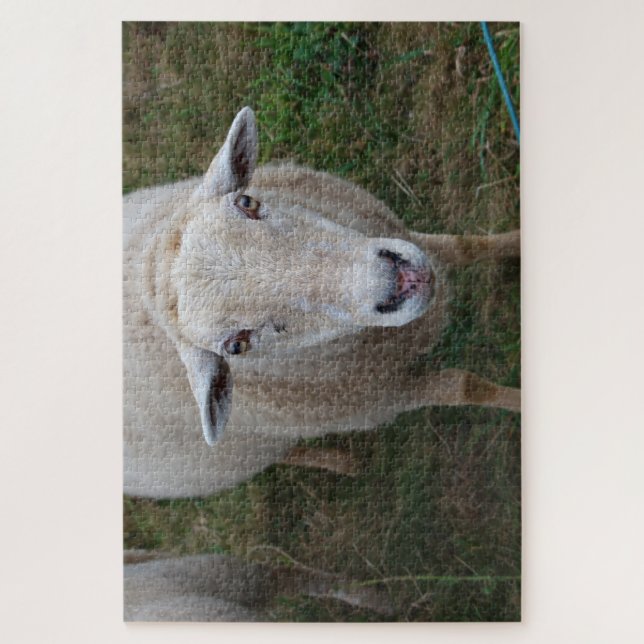 Puzzle Oveja en un campo (Vertical)