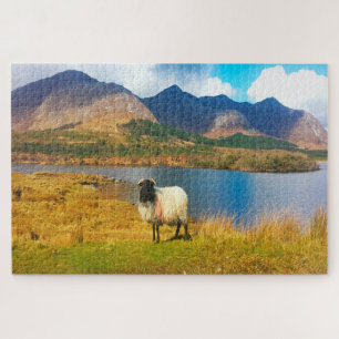Puzzle Oveja lanuda irlandesa Galway Irlanda.