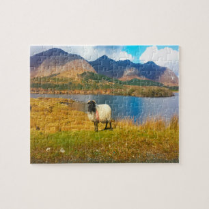 Puzzle Oveja lanuda irlandesa Galway Irlanda.