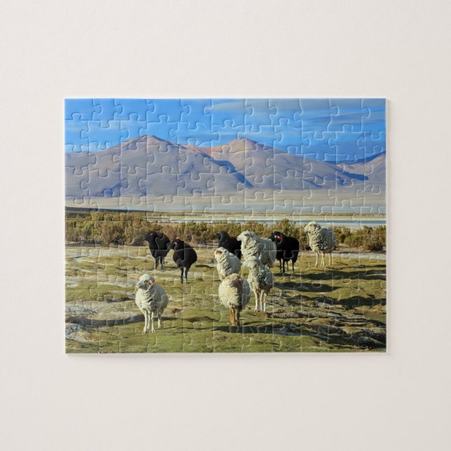 Puzzle Ovejas chilenas (Horizontal)