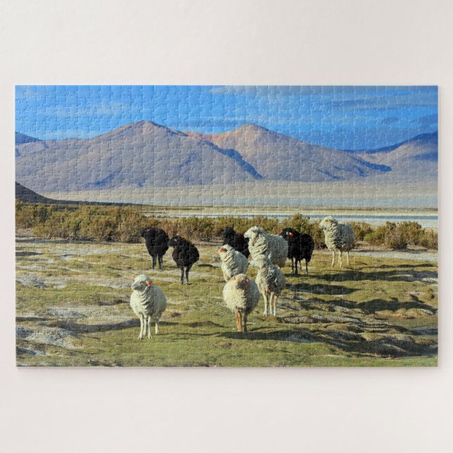 Puzzle Ovejas chilenas 1014-pc (Horizontal)