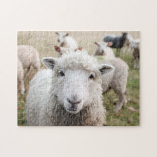 Puzzle Ovejas de cabra Animales de la vida silvestre Natu