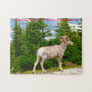 Puzzle Ovejas de cuernos grandes Montana. Saludos de Navi