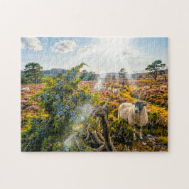 Puzzle Ovejas en brezal con enebro