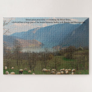 Puzzle Ovejas en la frontera con Bosnia