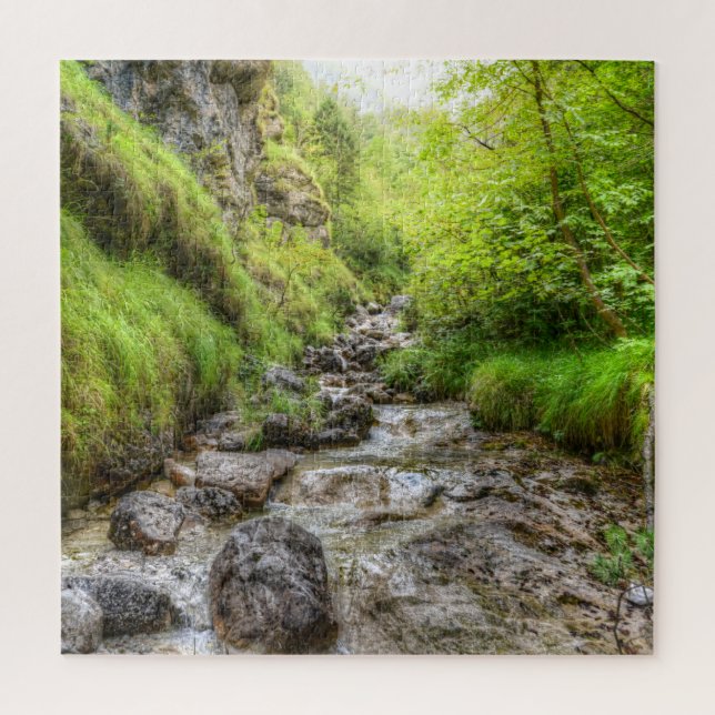 Puzzle Overgrown Shallow Creek Waterfall (Vertical)