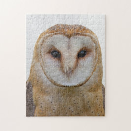 Puzzle Owl Face Bird Wildlife