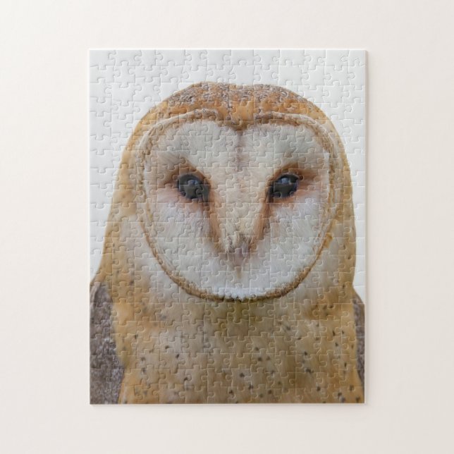 Puzzle Owl Face Bird Wildlife (Vertical)