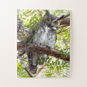 Puzzle Owl Look From Branch