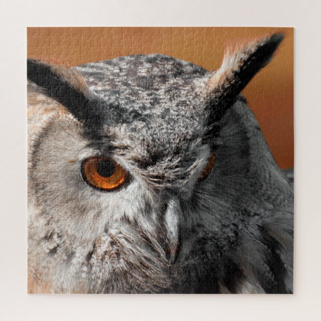 Puzzle Owl Stare (Vertical)